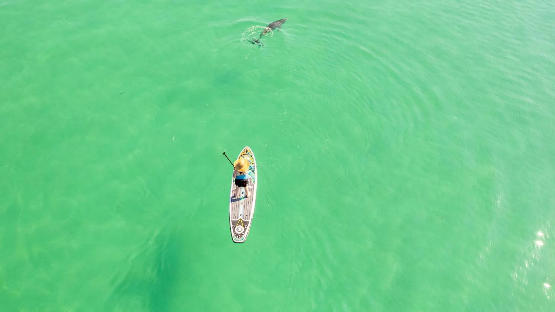 Seabreeze- By Holiday Isle Properties Destin
